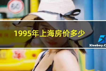 1995年上海房价多少一平